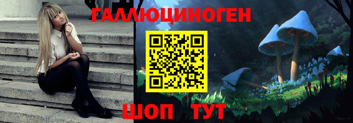 Псилоцибиновые грибы MAGIC MUSHROOMS Малоярославец